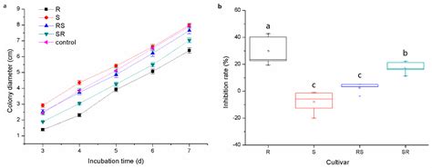 Rootstock-Scion Interaction Affects the Composition and Pathogen ...