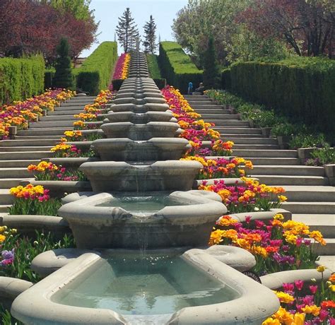 Tulips Festival Thanksgiving Point at Donald Mccann blog