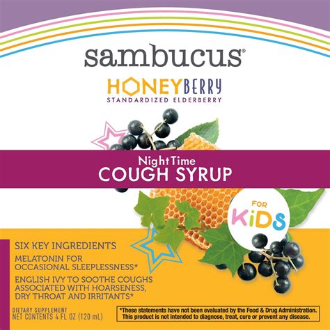 Buy Nature’s Way Sambucus HoneyBerry Nighttime Cough Syrup for Kids ...