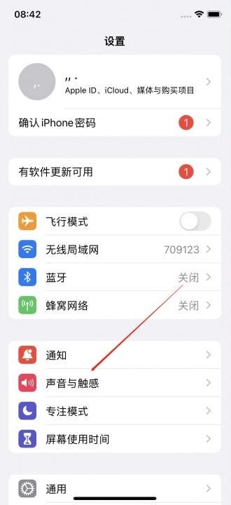 iphone静音模式怎么开 - 匠子生活