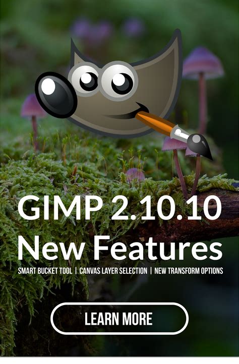 Image result for GIMP 2.0 Tutorial