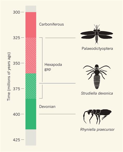 https://www.researchgate.net/publication/230615755/figure/fig1/AS%3A281335357820929%401444086984037/Winged-beginnings-The-fossil-record-provides-ample-examples-of-winged-insects-from.png