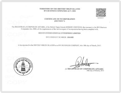 bvi公司注册文件和授权委托书公证认证_BVI/开曼_纳光国际