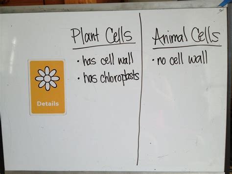Details Icon Depth and Complexity Example 的图像结果