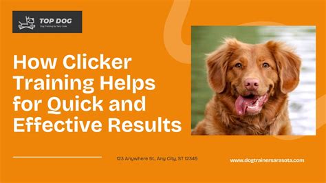 Image result for Quick Click Tutorial