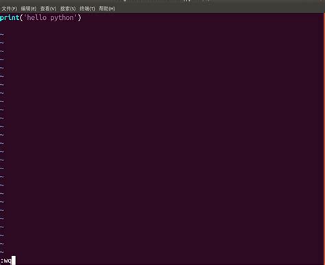 Exit Editing APY File in Shell 的图像结果