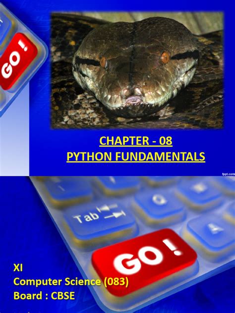 Image result for Python 3.9 Basic Tutorial