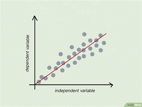 Image result for What Is a Null Hypothesis Example