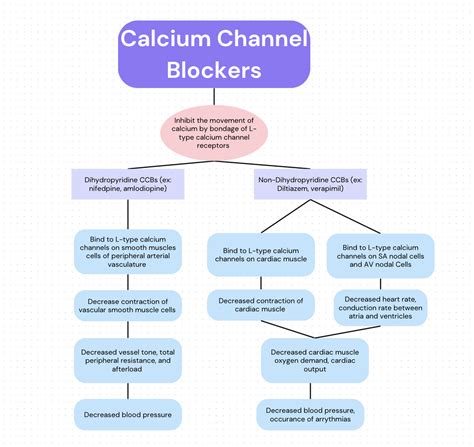 The Evolving Role of Calcium Channel Blockers in Hypertension Management: Pharmacological and ...