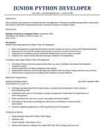 Image result for Python Junior Developer Resume Template