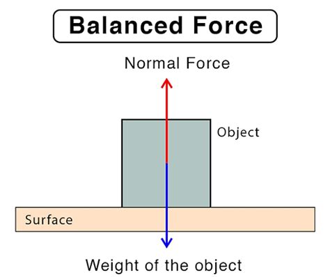 Force, it's Effects and Types - Science Olympiad Class 9 PDF Download