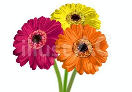 Image result for Data Graph Visualizer