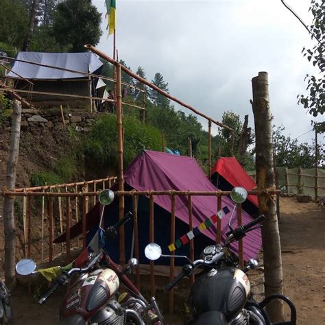 Wild Himalaya Glamping Camp | best luxury camp in narkanda