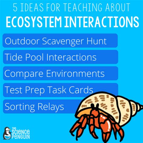 Free Science Lessons Ecosystem 的图像结果