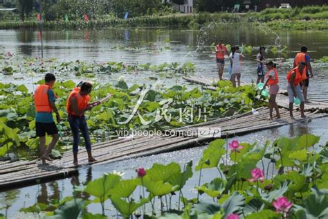重庆大足：荷塘打水仗 清凉大对决-人民图片网