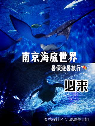 2023南京海底世界游玩攻略,南京海底世界的门票，比起大...【去哪儿攻略】