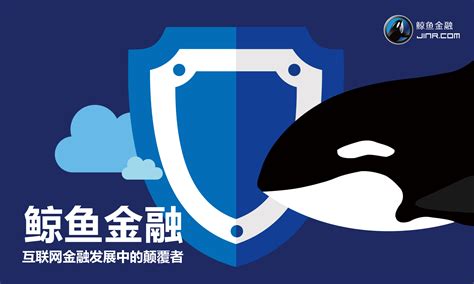 鲸鱼官网_鲸鱼APP-安全稳健的互联网金融信息服务平台