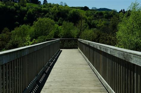 Landscape Bridge 的图像结果