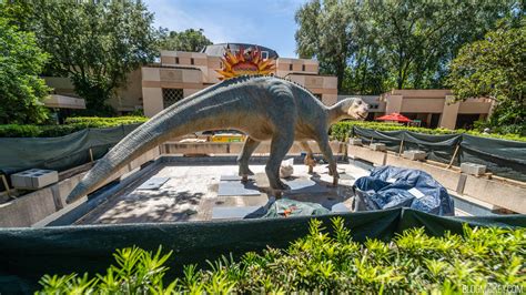 Refurbishment Underway on DINOSAUR Reflecting Pool at Animal Kingdom