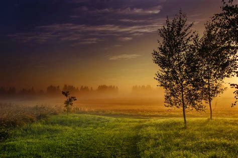 See related image detail. Top 5 Best Dawn Simulators 2026 - Pixelfy blog