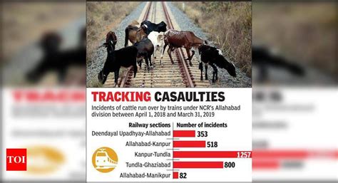 Boundaries along rly tracks to keep stray cattle away | Allahabad News ...