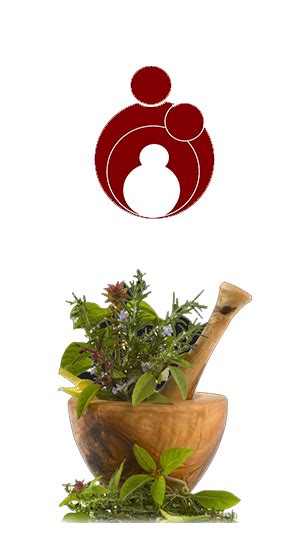 Sanskruti Clinic, India. Infertility, Azoospermia, Oligospermia ...