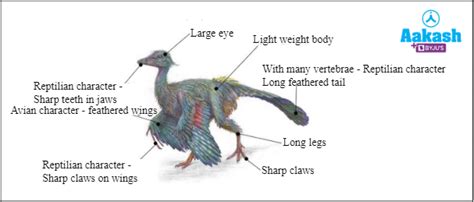 Geological Time Scale in Biology: Definition, Types and Importance | AESL