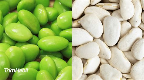 Edamame vs Lima Beans Health Benefits - TrimHabit - Weight Loss Habits ...