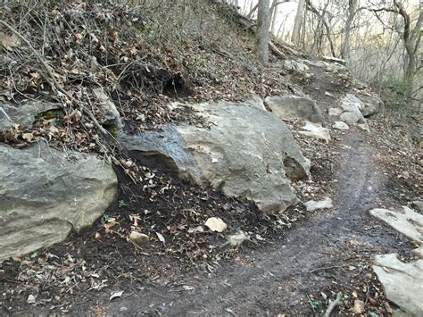 Lake Atalanta Mountain Bike Trail in Rogers, Arkansas - Directions ...