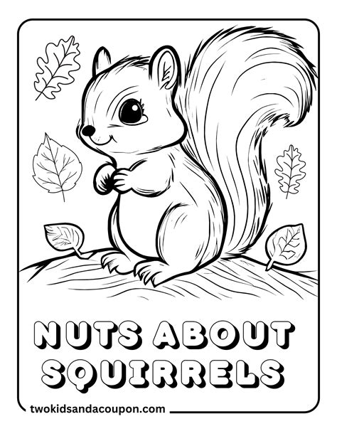 Squirrel Coloring Images
