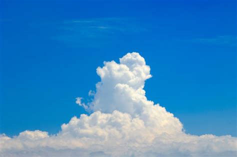 Image result for Full Stack in Java Tutorial for Beginners