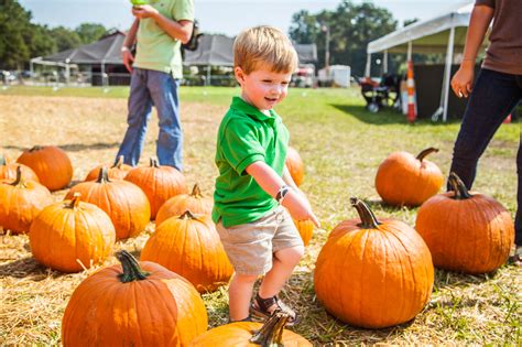 Boone Hall Pumpkin Patch - Pumpkin Patch Near Me