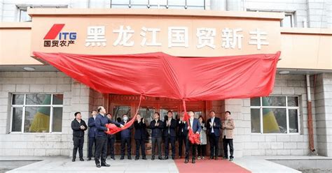 七台河4个投资项目增资75亿元_龙洋焦