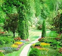 Image result for Spring Nature Wallpaper for PC