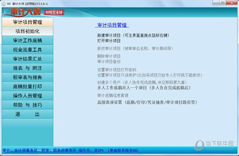 审计大师软件|审计大师 V13.8.1 官方版下载_当下软件园