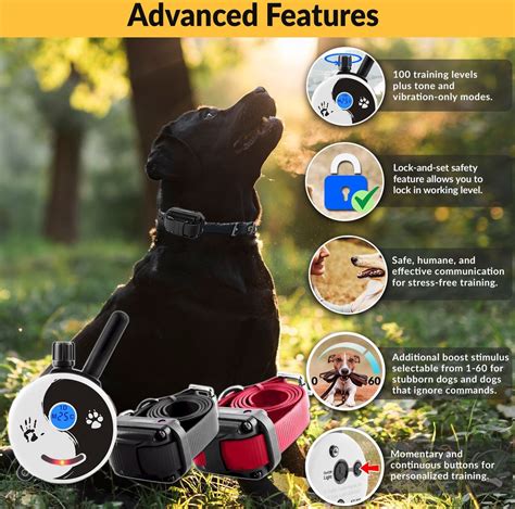 EDUCATOR By E-Collar Technologies Zen 1/2 Mile Range Remote Dog ...