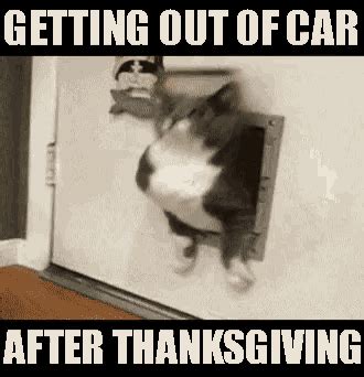 After Happy Thanksgiving Meme GIF | GIFDB.com