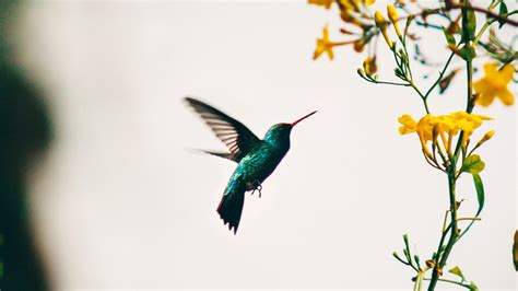 The Biblical Meaning of Jacqueline: Unlocking Its Hidden Spiritual ...