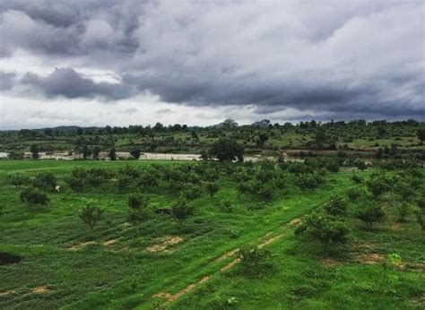 ORGANIC FARMING: What people think VERSUS what it really is (In layman ...