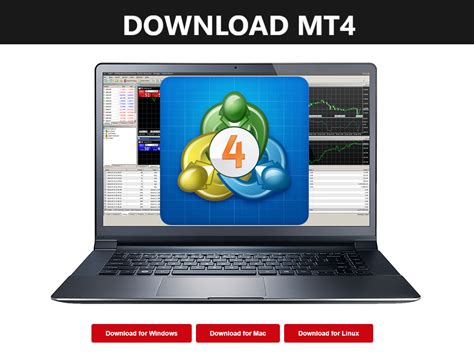 MetaTrader 4.0 的图像结果