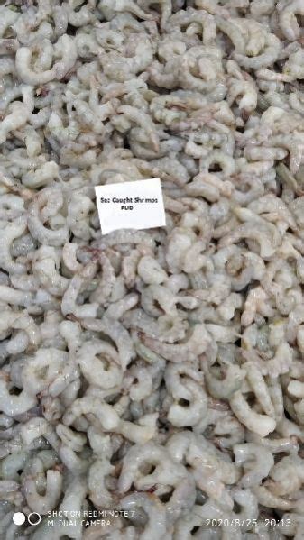 Frozen Sea Caught Shrimp Manufacturer Exporter Supplier from Harbour India