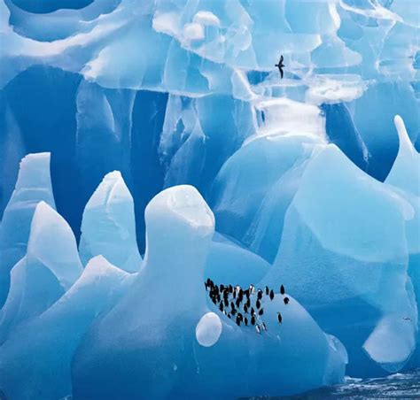 Nature Programmes 的图像结果