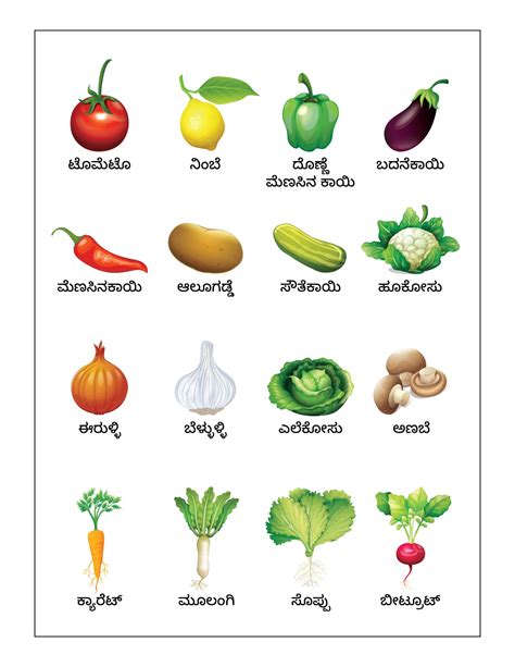 Learning Vegetables (Free Common and Advanced Vegetables Charts) – in ...