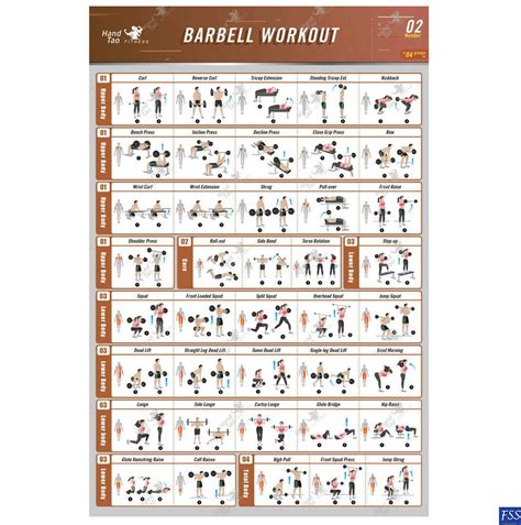 Body Muscle Exercise Chart 的图像结果