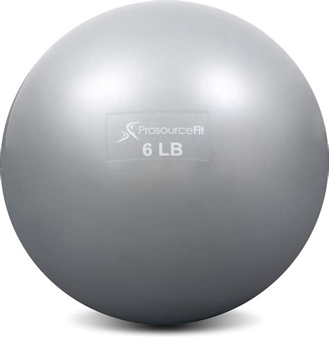 NEW 6LBS PROSOURCEFIT EXERCISE BALL - WEIGHT