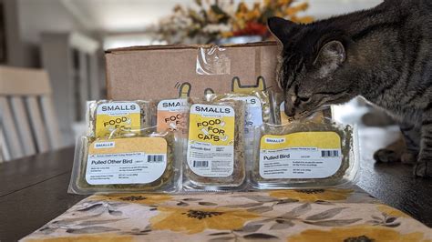 10 Best Low-Carb Cat Foods of 2025 - Reviews & Top Picks - Catster