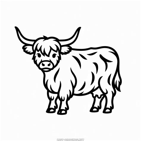 Highland cow Easy Drawing | Easy Drawings