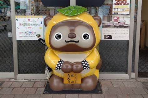 Image result for Data Profiling Pandas Example