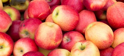 Work Design 的图像结果