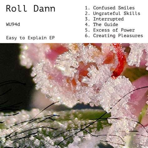 Roll Dann - Easy To Explain EP by Warm Up Recordings at Volumo